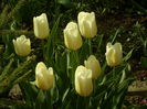 SAM_0016