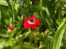 SAM_0018