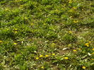 SAM_0020