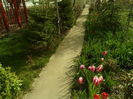 SAM_0023