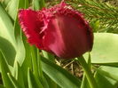 SAM_0027
