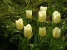 SAM_0029