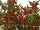 SAM_0045