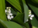 SAM_0048