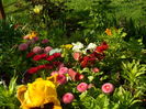 SAM_0025