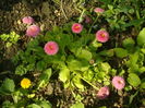 SAM_0027
