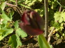 SAM_0001