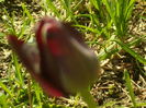 SAM_0002