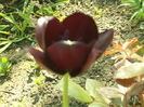 SAM_0007