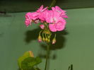 DSCN8085