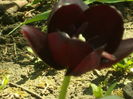 SAM_0012