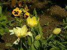 SAM_0016