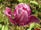 SAM_0028
