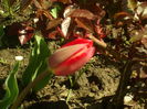 SAM_0030