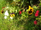 SAM_0034
