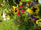 SAM_0035