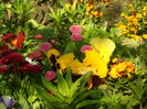 SAM_0038