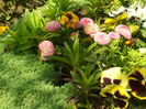SAM_0039