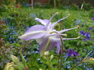 9 mai 029