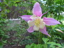 16 may 005
