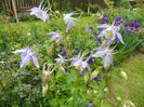 16 may 010
