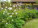 16 may 011