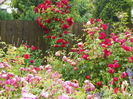 17 jun 006