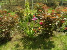 SAM_0014