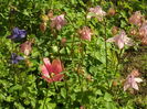 SAM_0022