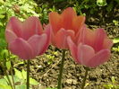 SAM_0029