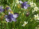SAM_0035