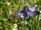 SAM_0036