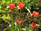 SAM_0040