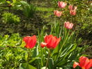 SAM_0041