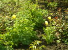 SAM_0045