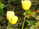 SAM_0047