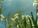 SAM_0050