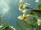 SAM_0051