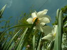SAM_0053