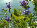 SAM_0054