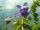 SAM_0055