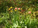 SAM_0064