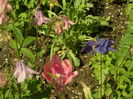 SAM_0066