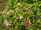 SAM_0073