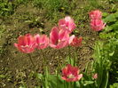 SAM_0074