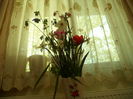 SAM_0077