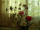 SAM_0078
