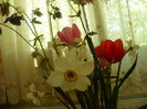 SAM_0082