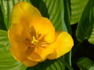 SAM_0006