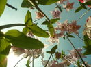 SAM_0022